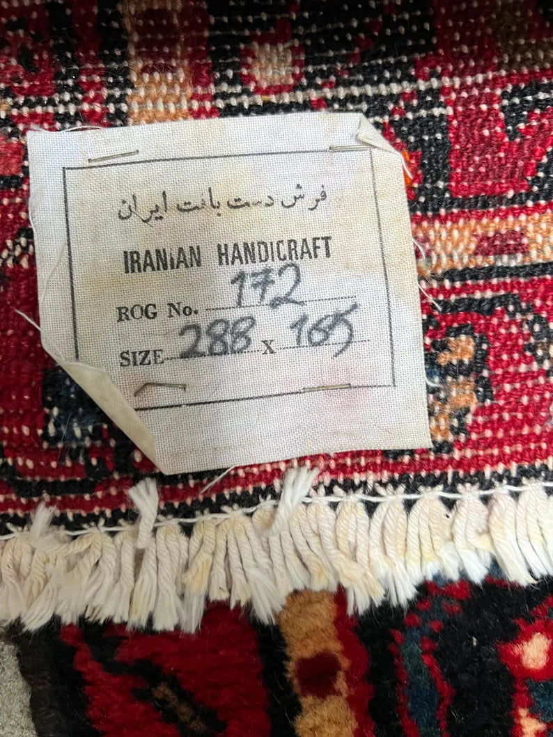 5.5x9.5 Persian Nahavand Rug | Hand Knotted Wool Area Rug | Colorful Folk Art Carpet